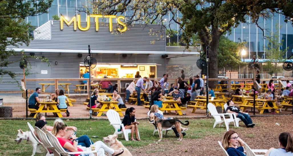 Mutt's Cantina Dog Park