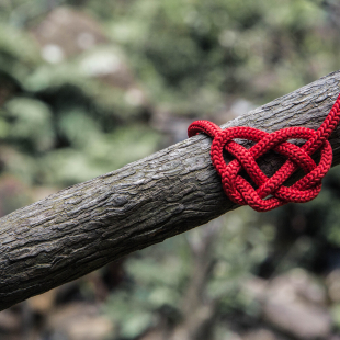 Heart made of wool on a tree