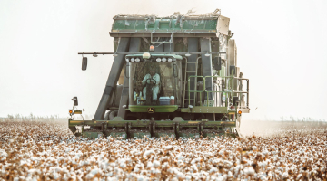 Cotton harvester