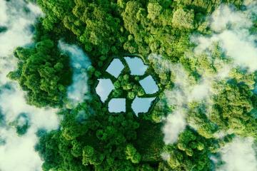 Aerial image of forest representing ESG initiatives