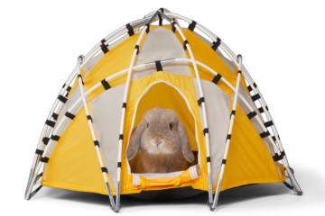 REI tiny tent 