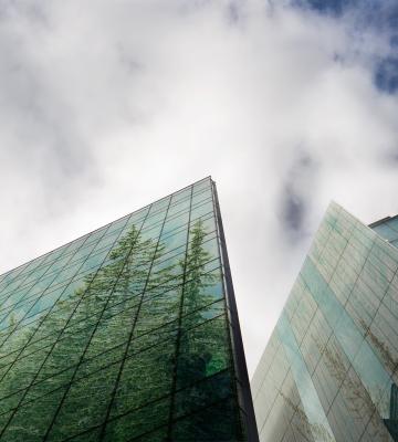 Skyscrapers reflect forest trees