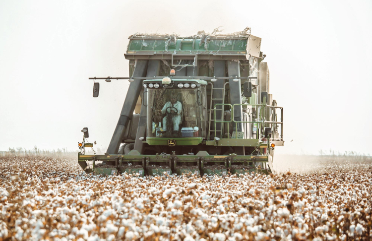 Cotton harvester